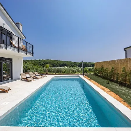 Enja For 8 People Near Pula With Private Pool & Pet Friendly Villa Vintijan